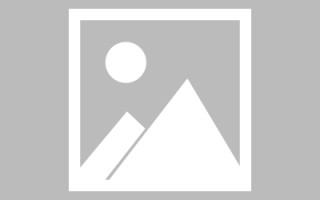 澧县网站建设书单（网站设计书模板）